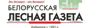 О жизни лесной отрасли - в формате дополненной реальности

