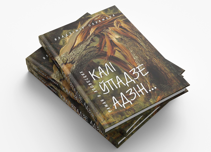 Новая кніга выдавецтва «Беларуская Энцыклапедыя імя Петруся Броўкі»
