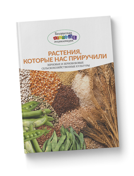 Новый цикл книг издательства «Белорусская Энциклопедия имени Петруся Бровки»
