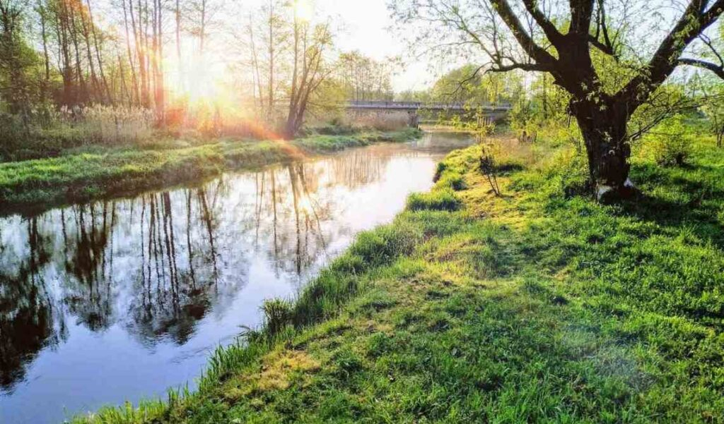 Камянчанка Людміла Алексяюк перамагла ў фотаконкурсе АНТ
