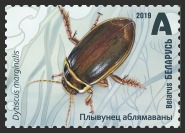 1300-s.jpg